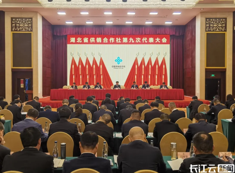 微信截图_20250416165201 Ggpoker官网-不凡成就非凡,相信品牌的力量